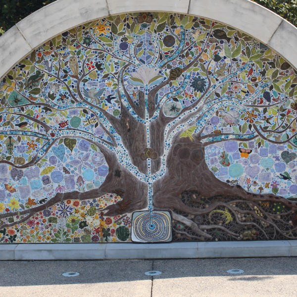 The Tree of Life