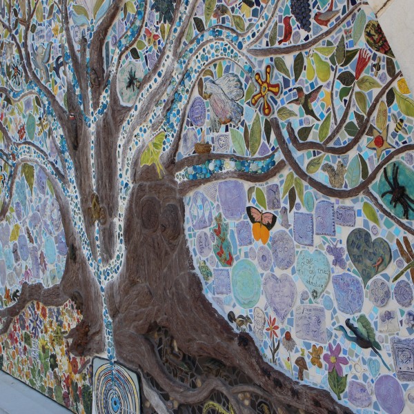 The Tree of Life