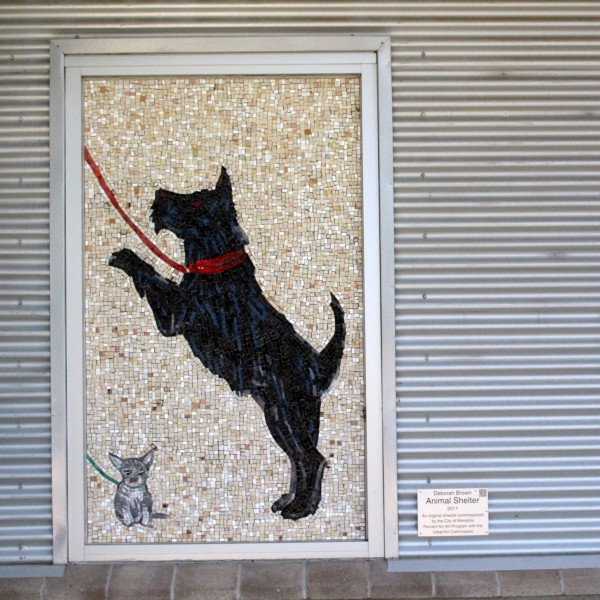 Animal Shelter