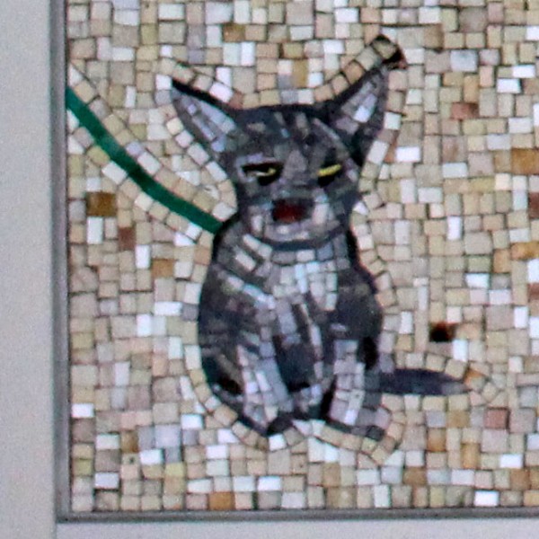 Animal Shelter