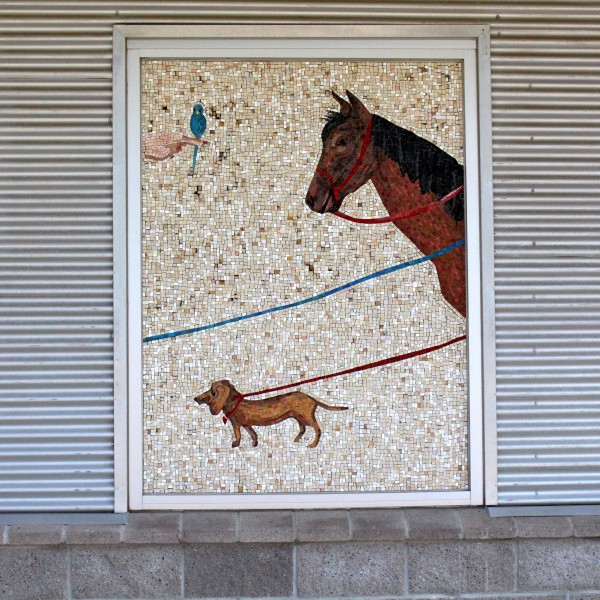 Animal Shelter