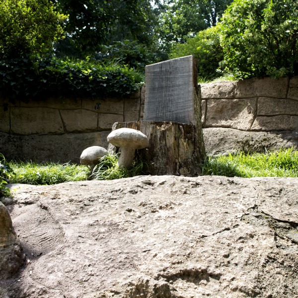 Crystal Shrine Grotto