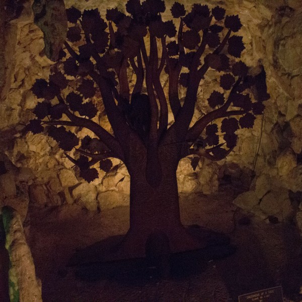 Crystal Shrine Grotto
